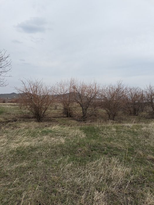 Продам земельный участок