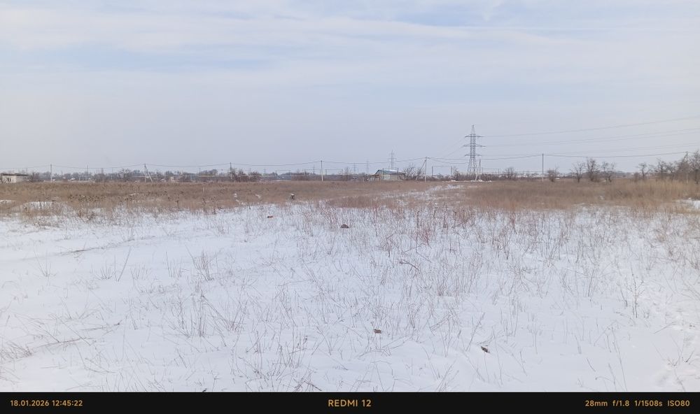 Земельный участок