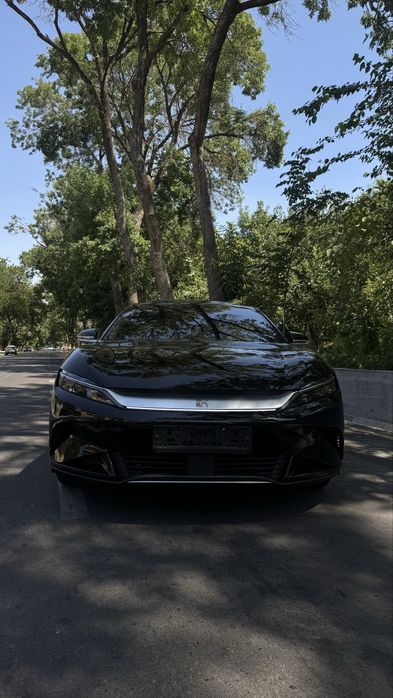 Byd han 2024.