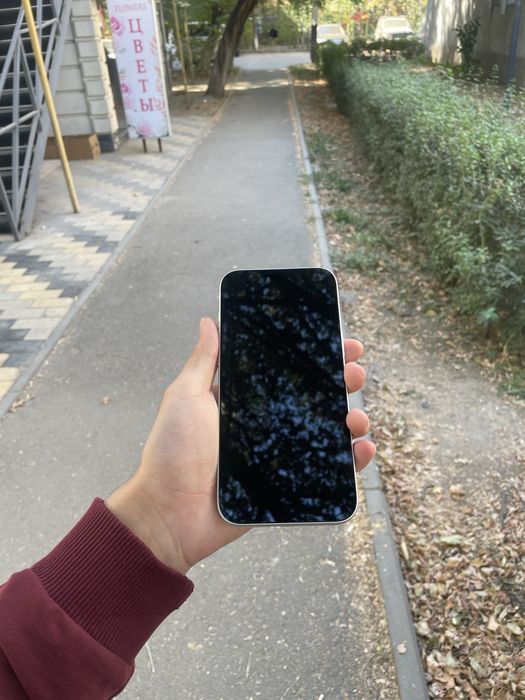 Iphone 17 Pro Max/256gb/100%