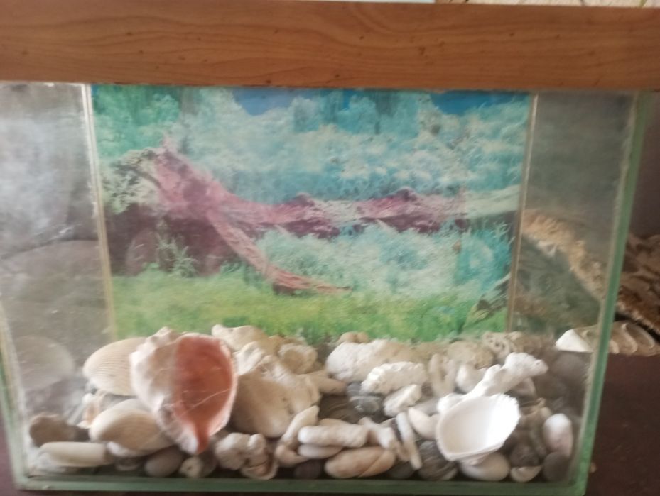 Продам аквариум.