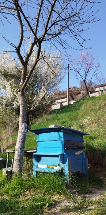 Пчелни кошери 9рамкови