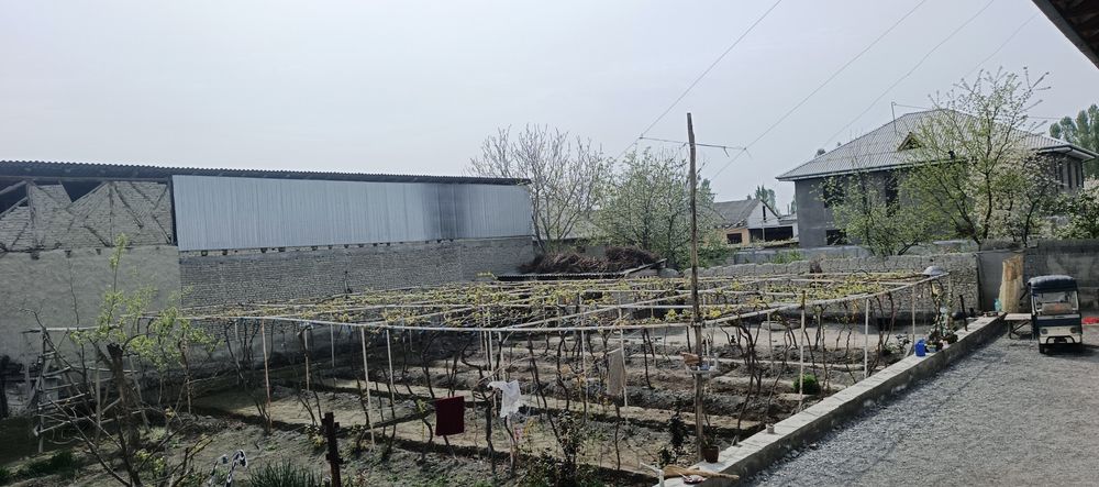 Yandi dôkon mfy, beklar yônalishida 10s