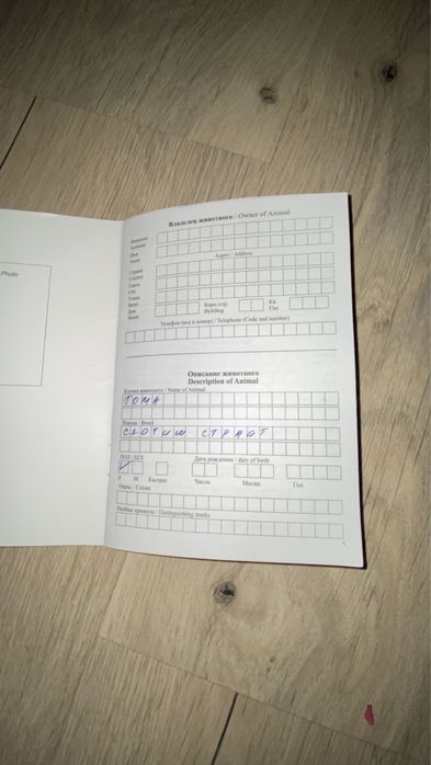 Продам кошка персидская