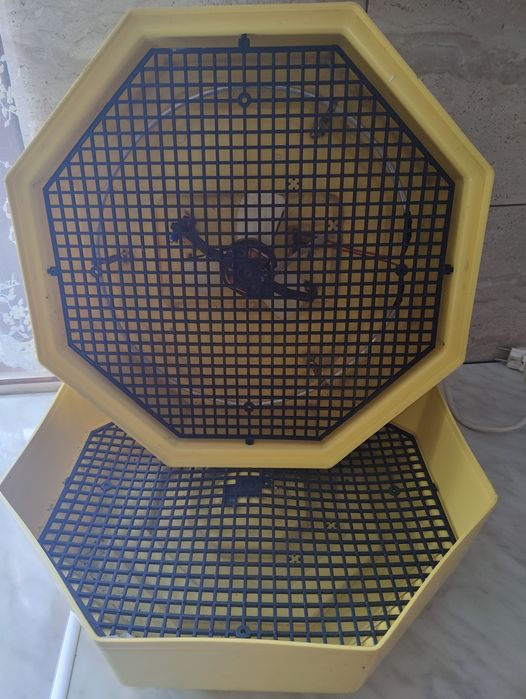 Vând incubator cleo 5