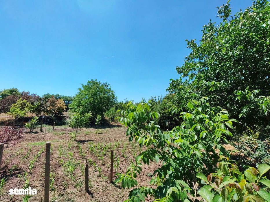 Comision0%-AlmanImobiliare-Oportunitate-TerenIntravilan-ValuLuiTraian