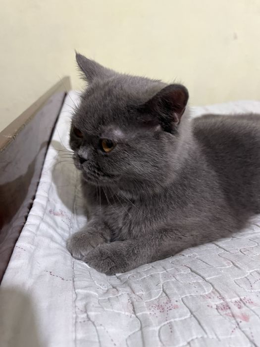 1,5 yosh 2 martta tug’gan