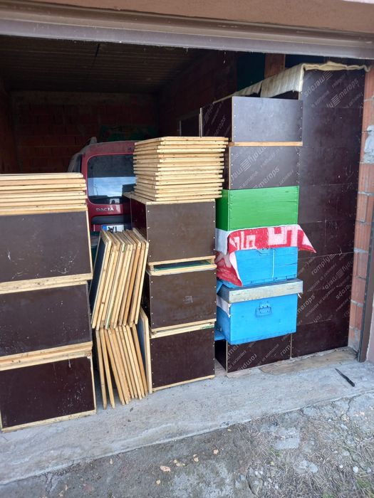 De vânzare 40 famili stupi