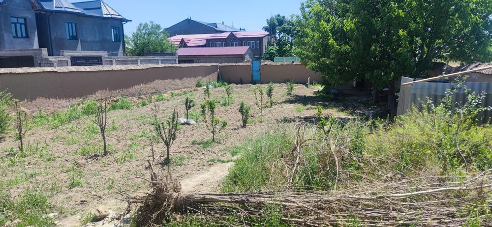 Zangi ota Korzinkada 5 sotix yer sotiladi