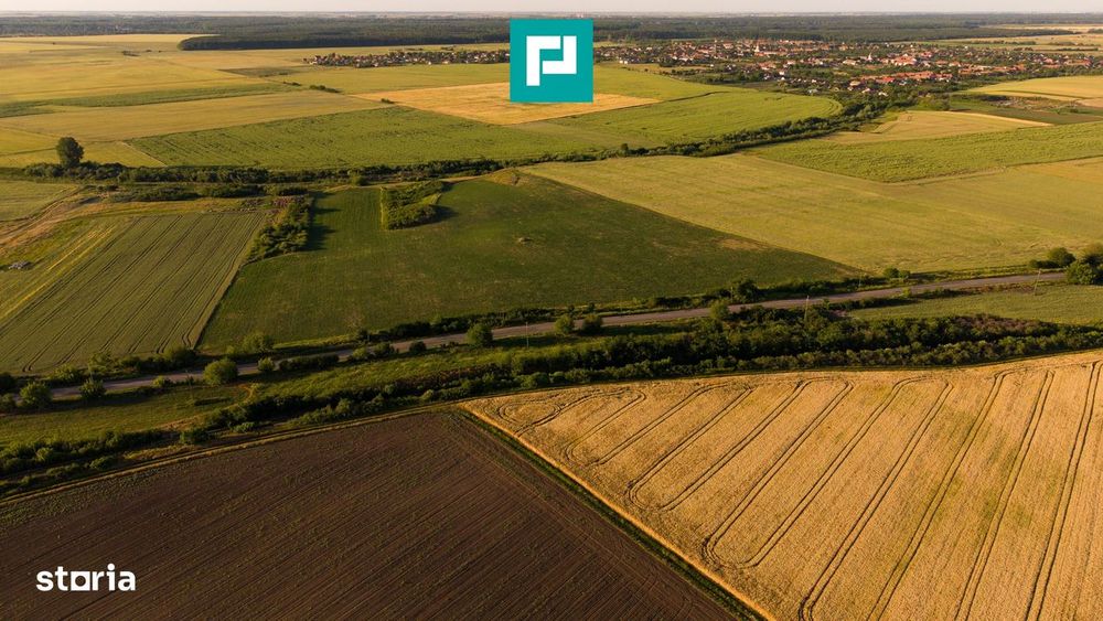 Teren Extravilan De 42.200 Mp Secusigiu