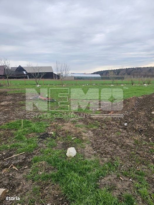Casa Horodnic | 50 Ari | Complet Mobilată