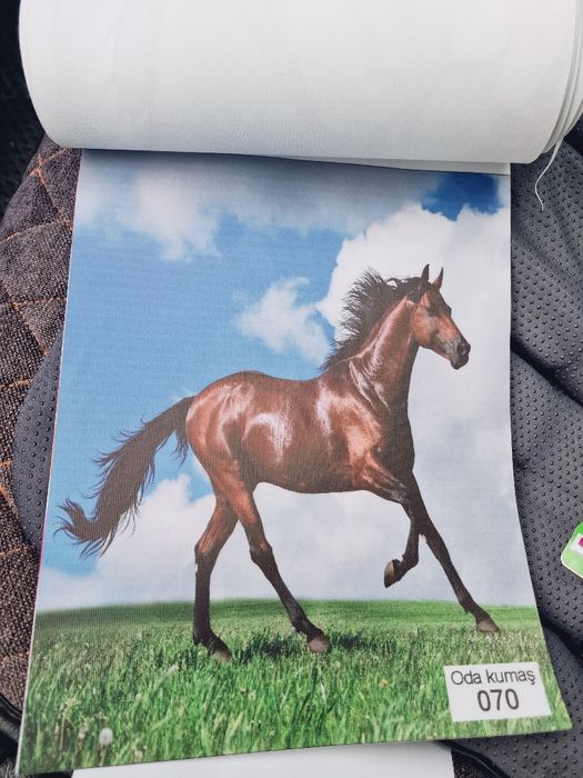 Жалюзи өлшеу құру тегін