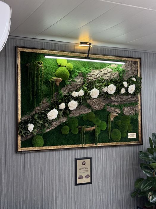 Стабилизированное озеленение| Мох | Фитостена| Mox|Fitostena|