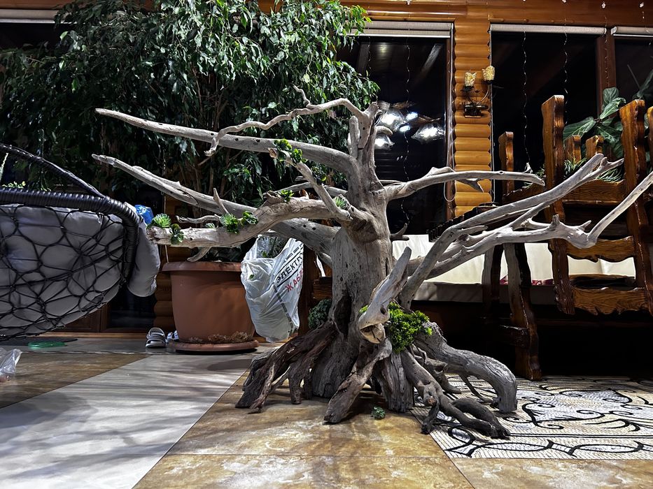 Коряги и камни для аквариума