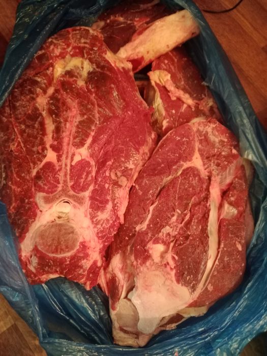 Продам мясо говядина
