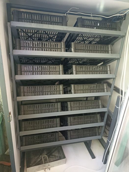 Инкубатор автоматически