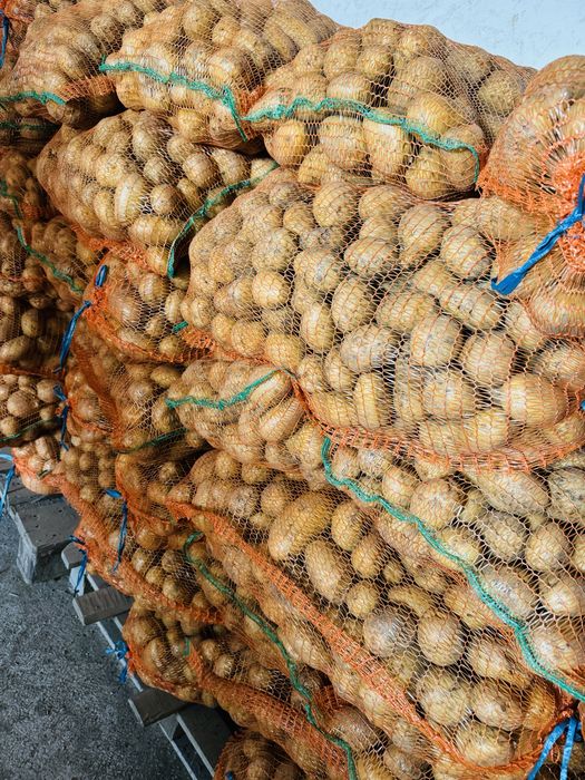 Cartofi consum alb si rosu