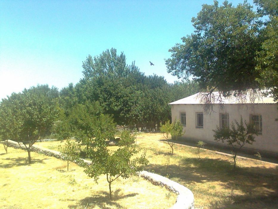 Продается/сдается загородный участок в Агалыке