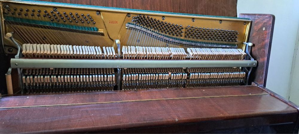 Pionina sotiladi 2200