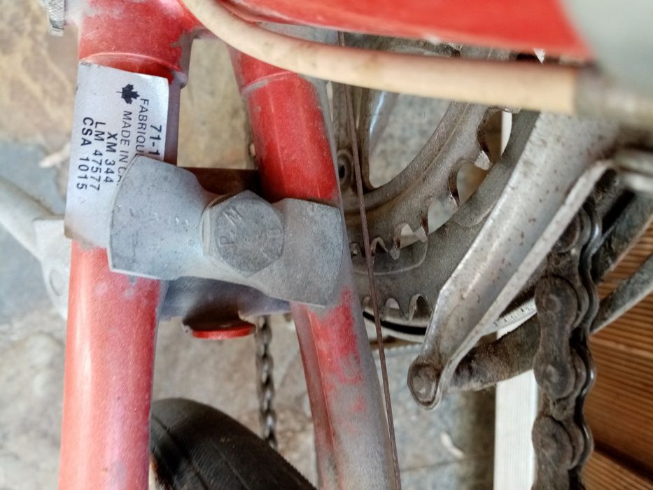Bicicleta cursiera dama