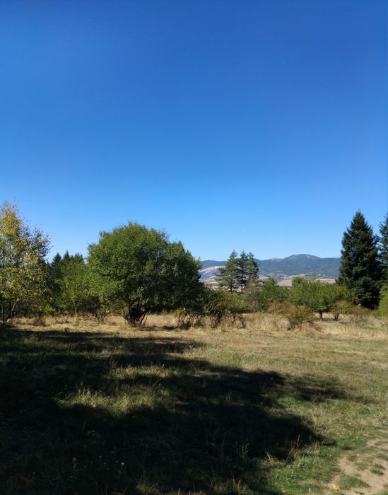 Продава се Парцел в Сапарева баня - 5418 кв.м за 80 €/кв.м - Снимка #1