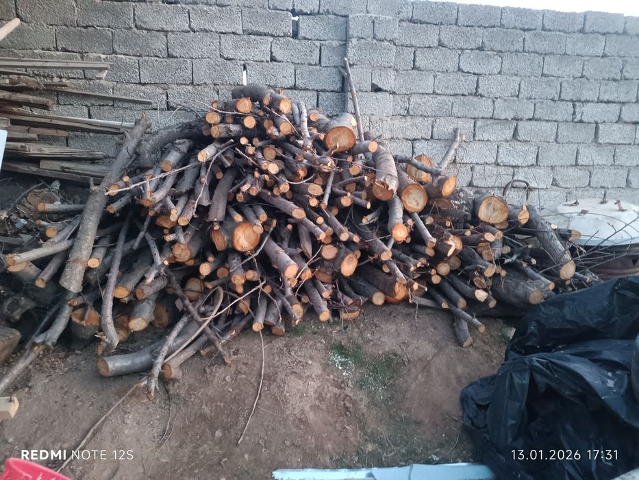 Мевали дарахт утини