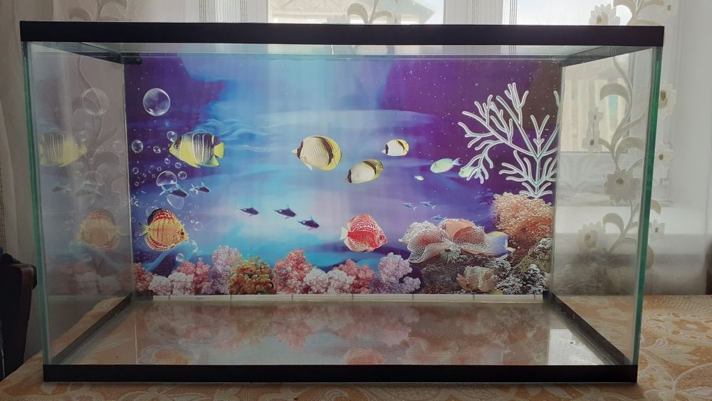 Аквариумы 75, 65, 15 литров