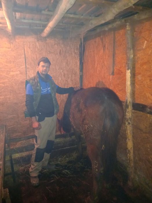 Vand manz pe 8 acum ln martie face un an