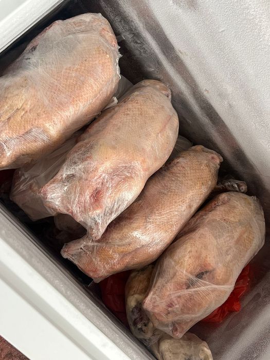 Продам мясо гуся