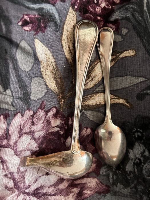 Lingurite placate argint