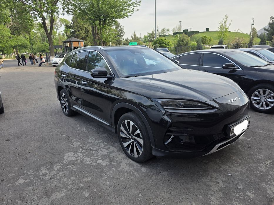 Other Song Plus DM-i Champion 2023 — 3