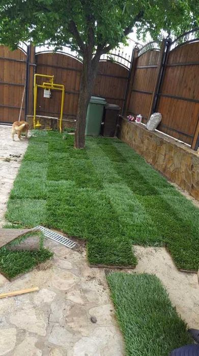 Amenajare Rapidă cu Gazon Natural și Sisteme Moderne