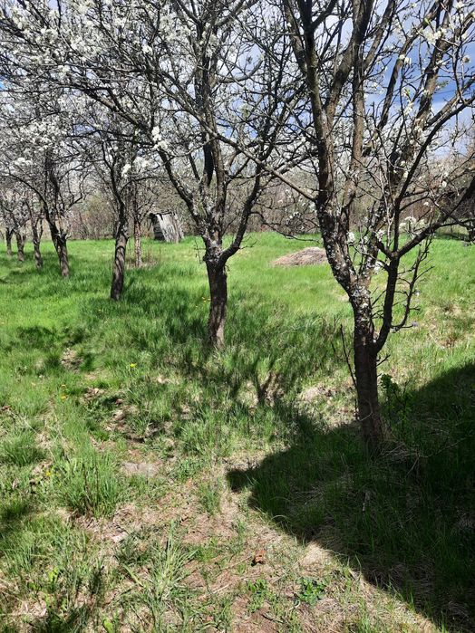 Продава се Къща в Радомир - 50 кв.м за 878 €/кв.м - Снимка #4