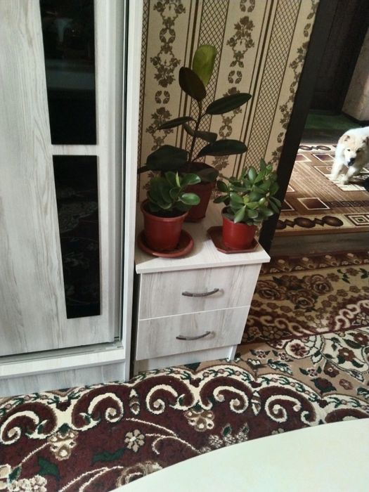 Продаётся шифоньер две тумбочки комплект