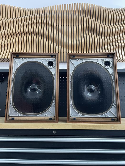 Yamaha ns 250e ( urechi elefant ) boxe vintage foarte rare