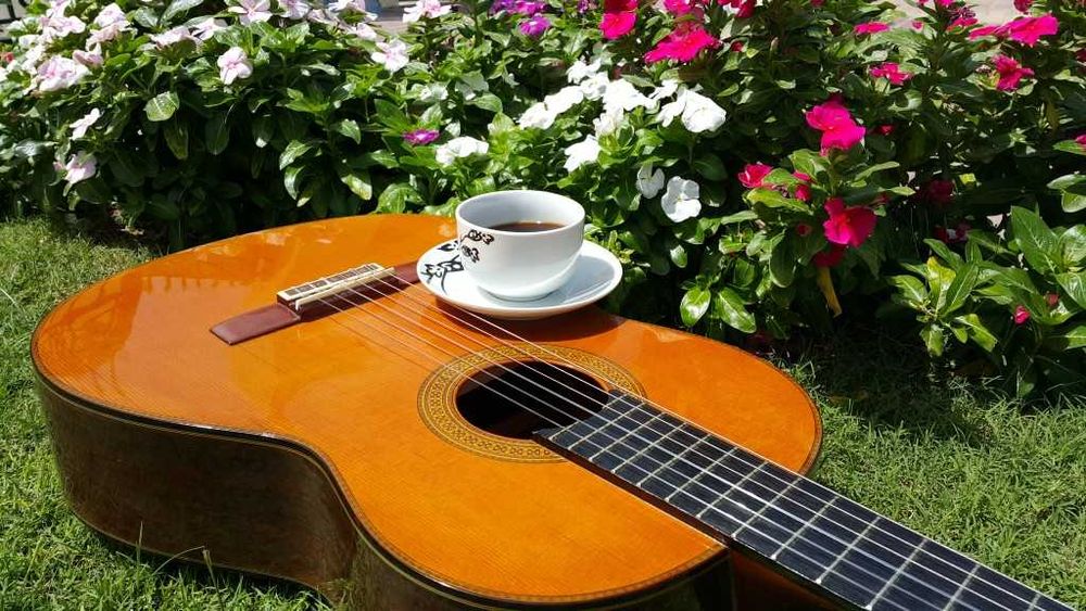 Уроци по китара Маестро Пловдив