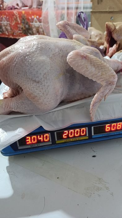 Тушки бройлера можно оптом