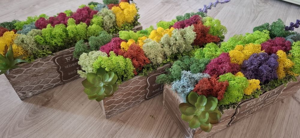 Кашпа със скандинавски мъх