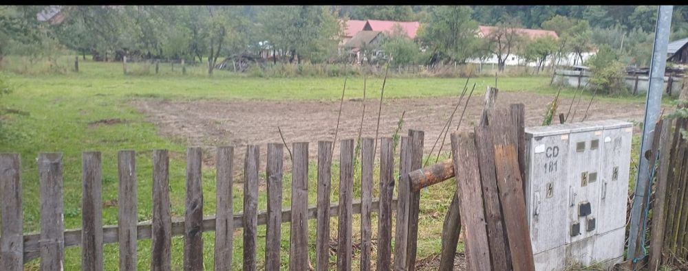 Vând teren intravilan Sinca Noua