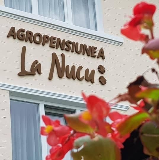 Pensiune libera de revelion