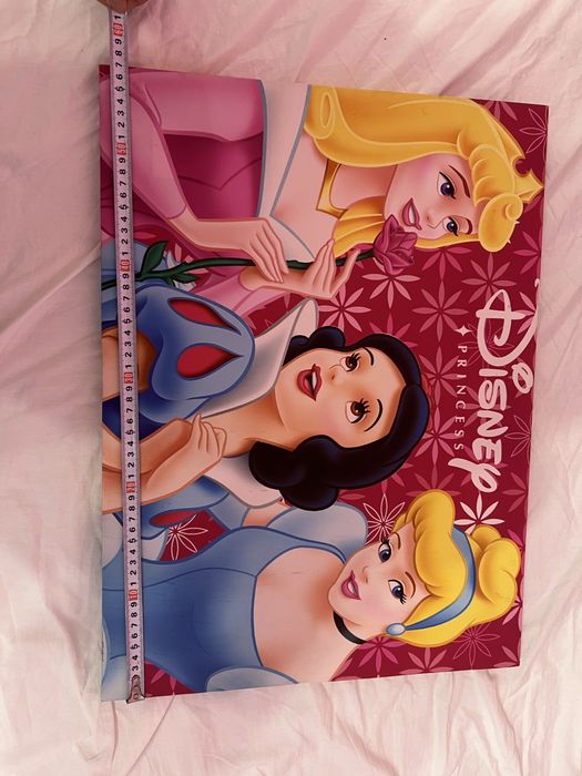 Картина на принцеси