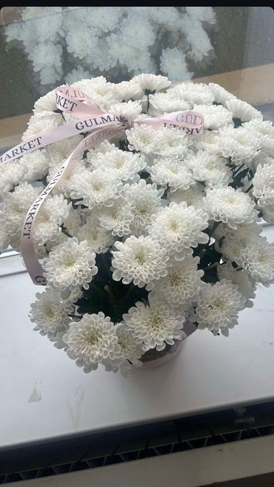 Белый хризантемы , цветы