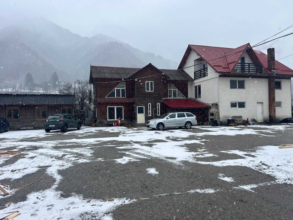 TEREN/hala de prelucrare lemn cherestea