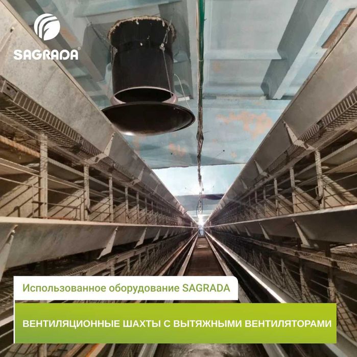 Вентиляция и климат-контроль для кур-несушек