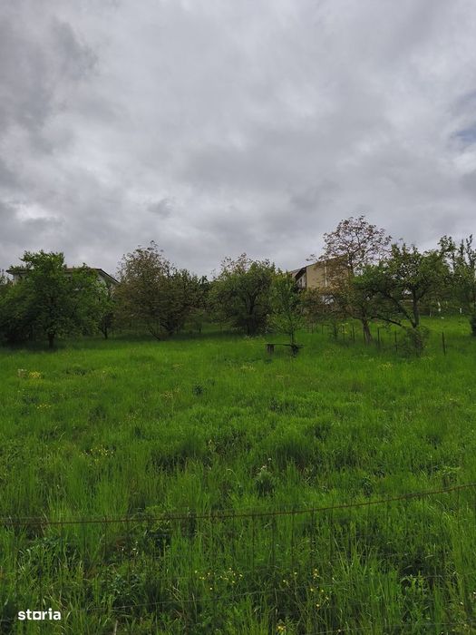 Doua parcele alăturate cu PUZ in lucru
