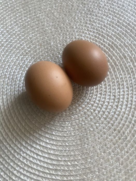 Яйца домашние из СКО