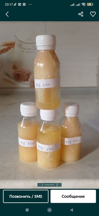 G'oz yogi Yog gozikki