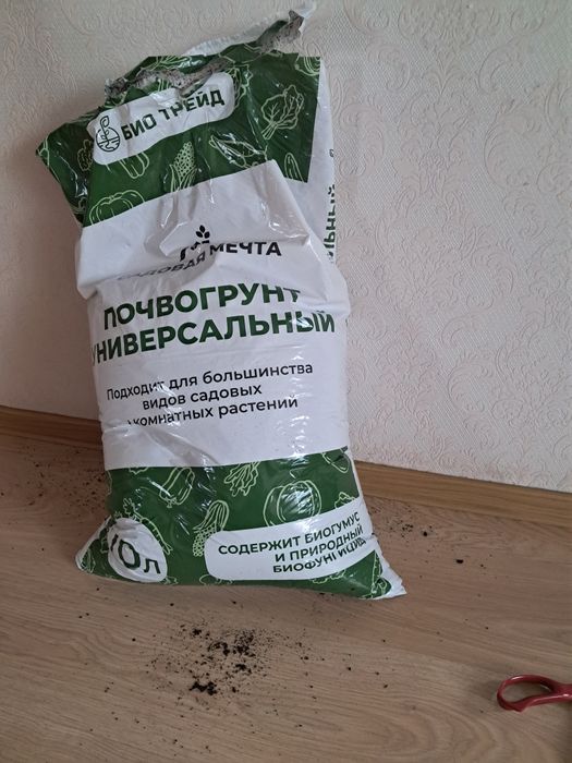 Грунт Расада  цветы