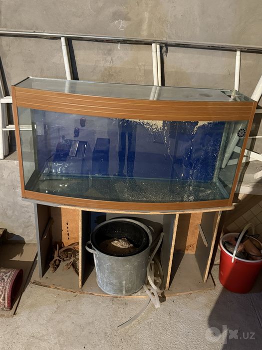 Akvarium  yaxshi holatli teshilmagan hechqayeri