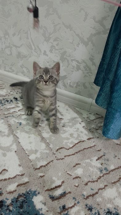 Полученна из правильной вязки